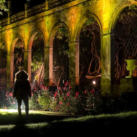 Garden Lights Walk