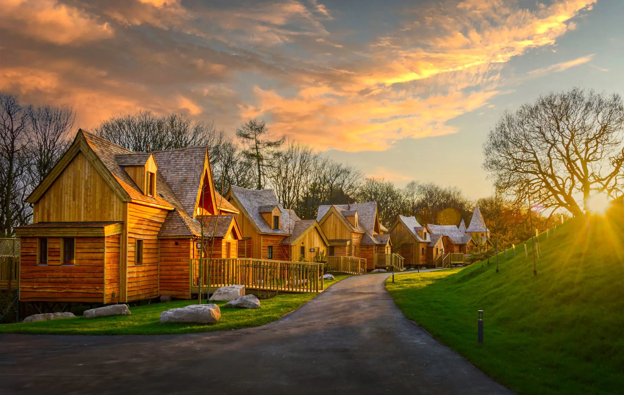 Luxury Treehouses at sunset