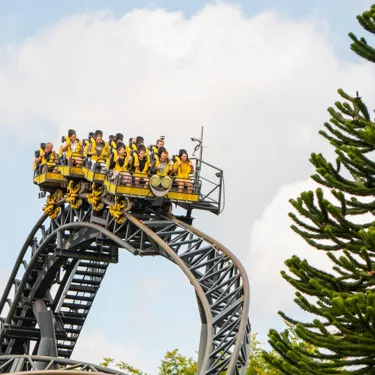 The Smiler drop at at Alton Towers Resort