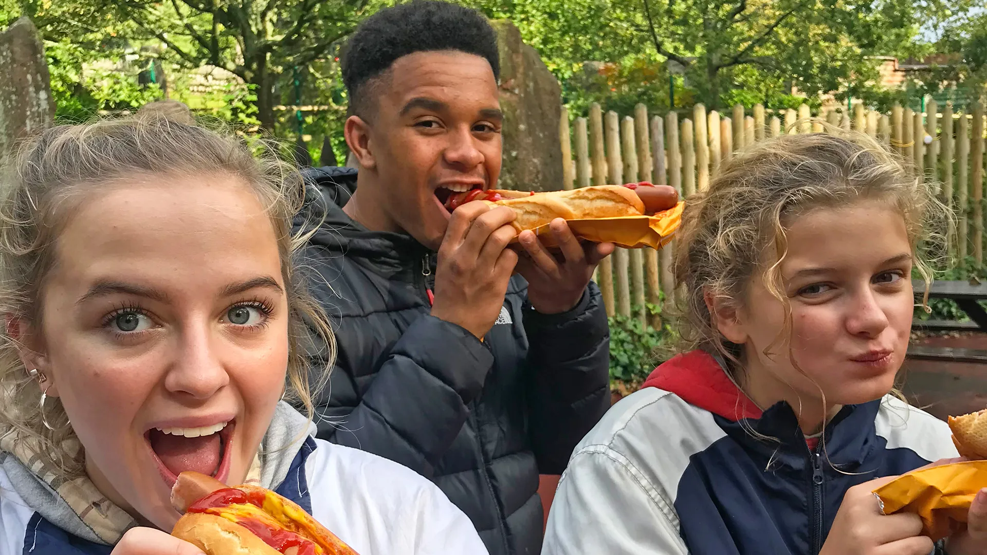 Hotdogs