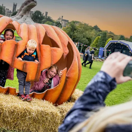 A Pumpkin during October Half Term Halloween Holidays