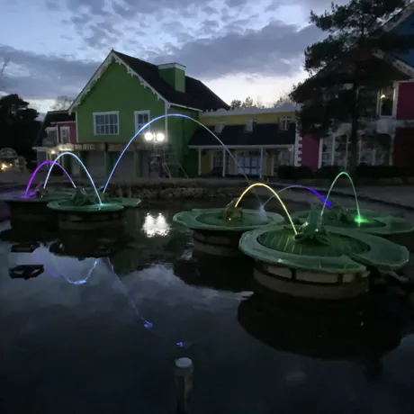 Frog Fountains